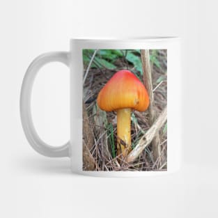 Mushroom Mug